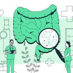 Vital Role of Digestive Enzymes