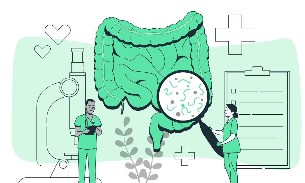 Vital Role of Digestive Enzymes